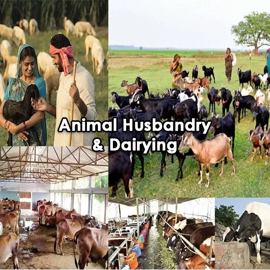 Department of Animal Husbandry & Dairying Empanelled with Ganesh Diagnostic & Imaging Centre